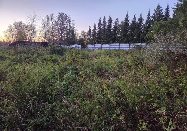 3rd image of 36101 Pincherry Rd, Cohasset, MN 55721 | MLS# 6795163