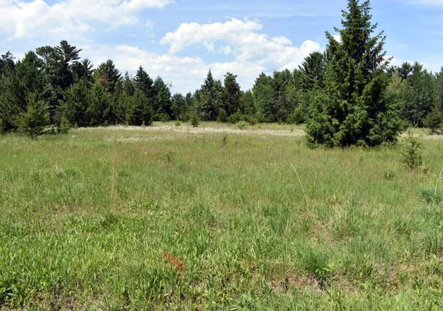 2nd image of L2 B1 County Road 1, Pine River, MN 56474 | MLS# 6795643