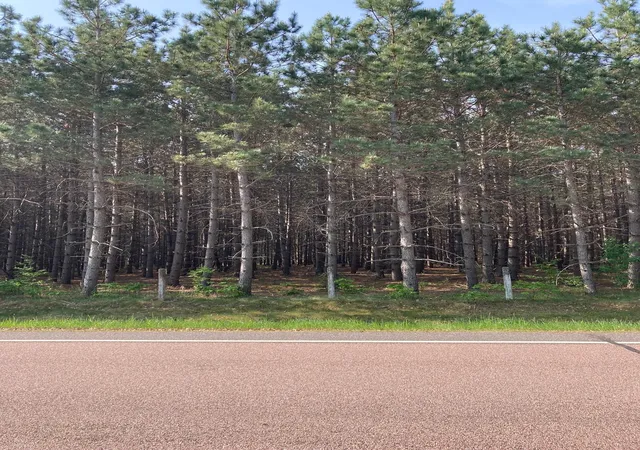 Photo 3 of Land for sale at Lot 7 Fawn Lake Rd, Crosslake, MN 56472 | MLS# 6795684 | Listing updated on 2026-07-31