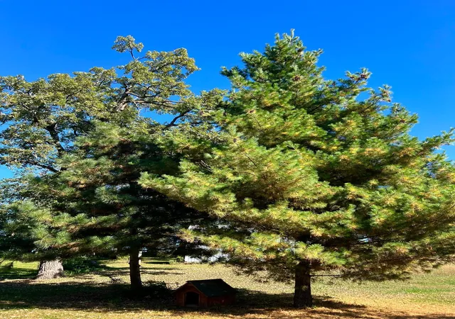Photo 57 of Single family home for sale at 208 Hilltop Rd, Ottertail, MN 56571 | MLS# 6795817 | Listing updated on 2026-10-09