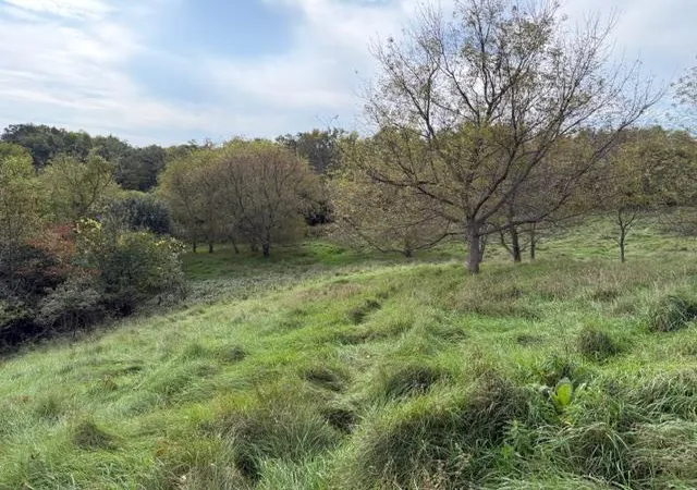 Homes for sale in New Richmond, WI | Lot 6 220Th Ave, New Richmond, WI 54017 | MLS# 6797673