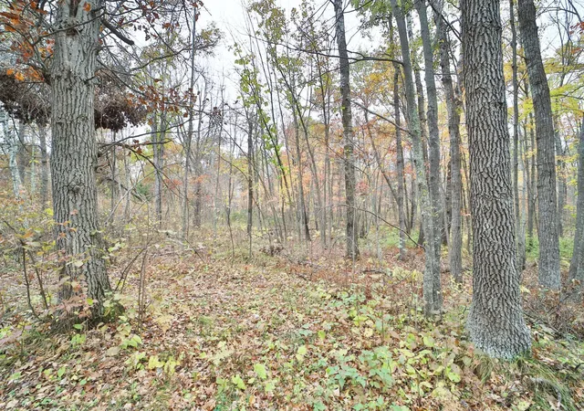 5th image of 1022 Rock Elm Trl Nw, Pine River, MN 56474 | MLS# 6797855