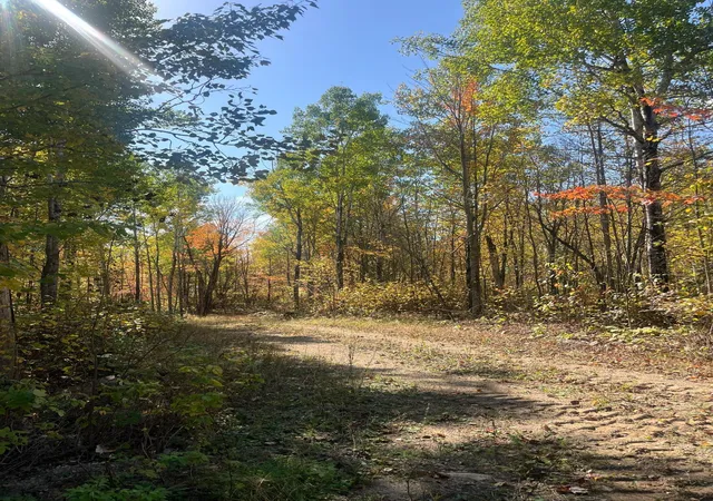 2nd image of Lot 7 Wilderness Way, Cook, MN 55723 | MLS# 6797998