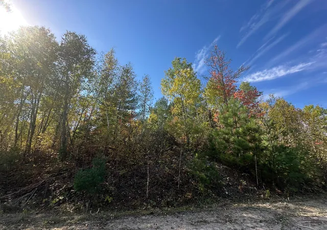 3rd image of Lot 7 Wilderness Way, Cook, MN 55723 | MLS# 6797998