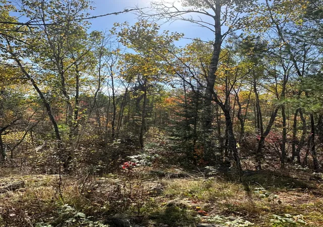 4th image of Lot 7 Wilderness Way, Cook, MN 55723 | MLS# 6797998