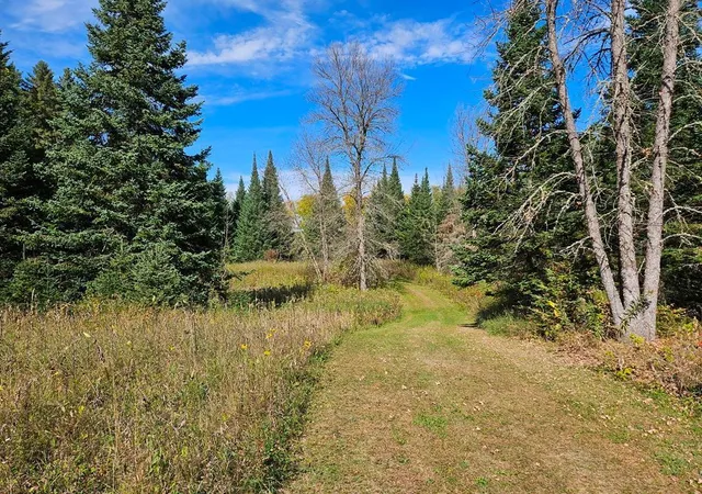18th image of Lt 3 Blk 1 County Rd 238, Deer River, MN 56636 | MLS# 6798269