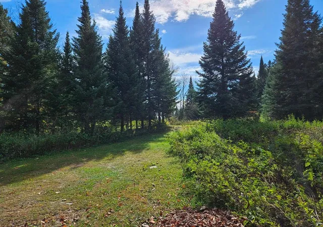 1st image of Lt 3 Blk 1 County Rd 238, Deer River, MN 56636 | MLS# 6798269