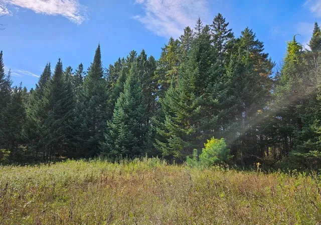 2nd image of Lt 3 Blk 1 County Rd 238, Deer River, MN 56636 | MLS# 6798269