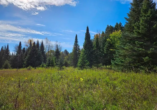 3rd image of Lt 3 Blk 1 County Rd 238, Deer River, MN 56636 | MLS# 6798269