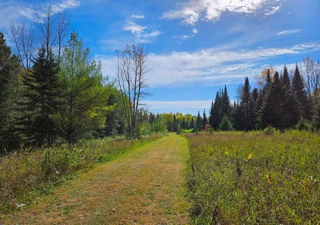4th image of Lt 3 Blk 1 County Rd 238, Deer River, MN 56636 | MLS# 6798269