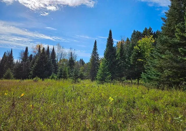 5th image of Lt 3 Blk 1 County Rd 238, Deer River, MN 56636 | MLS# 6798269