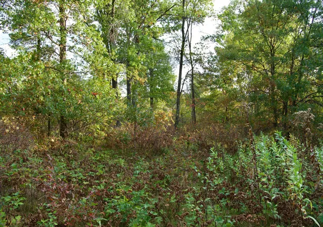 4th image of Tract A Hwy 371, Brainerd, MN 56401 | MLS# 6798282