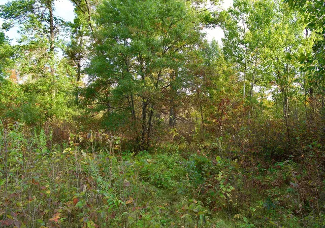 5th image of Tract A Hwy 371, Brainerd, MN 56401 | MLS# 6798282