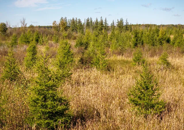 5th image of Tbd 350Th St, Onamia, MN 56359 | MLS# 6798814