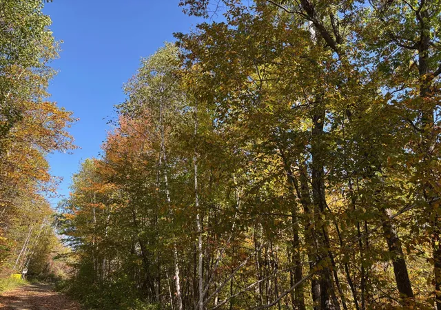 1st image of Tbd County Road 12, Akeley, MN 56433 | MLS# 6798880