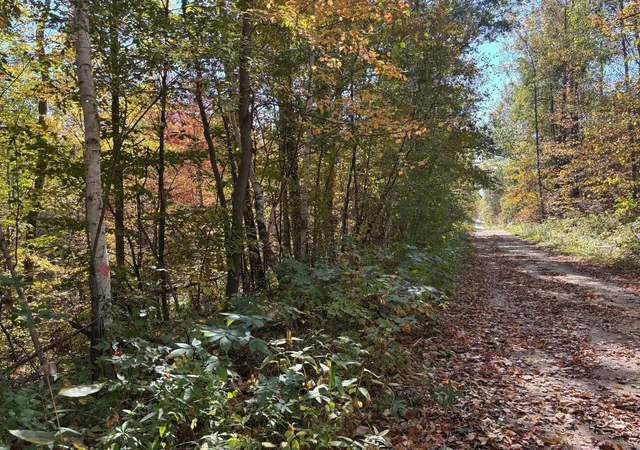 3rd image of Tbd County Road 12, Akeley, MN 56433 | MLS# 6798880