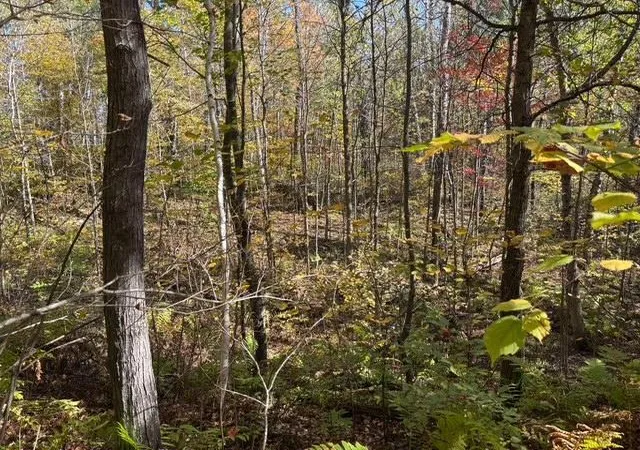 5th image of Tbd County Road 12, Akeley, MN 56433 | MLS# 6798880
