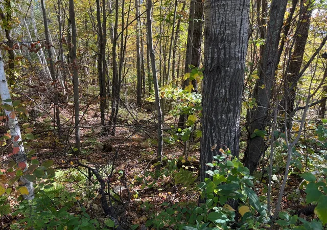 8th image of Tbd County Road 12, Akeley, MN 56433 | MLS# 6798880