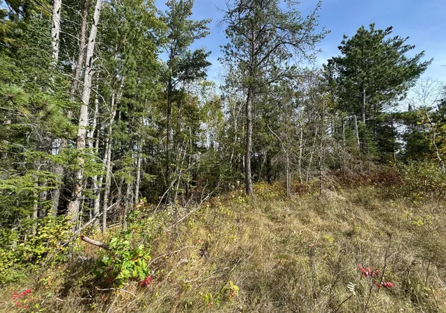3rd image of Tbd 243Rd Ave, Shevlin, MN 56676 | MLS# 6799000