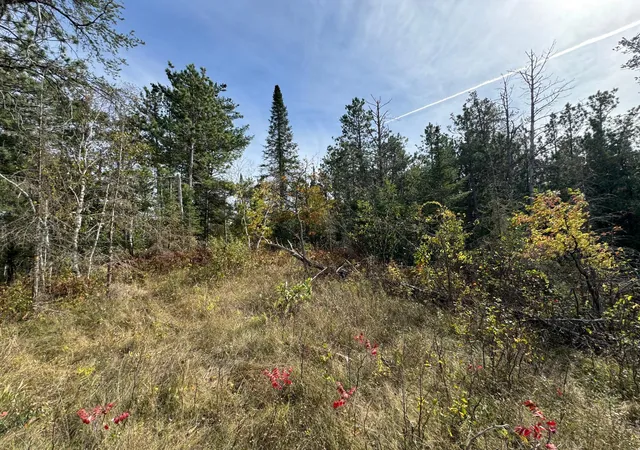 4th image of Tbd 243Rd Ave, Shevlin, MN 56676 | MLS# 6799000
