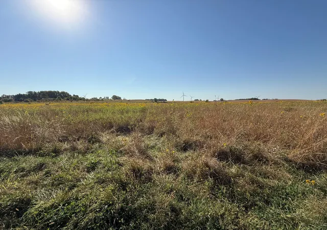 Homes for sale in Blooming Prairie, MN | Tbd 44th Ave Se, Blooming Prairie, MN 55917 | MLS# 6799122