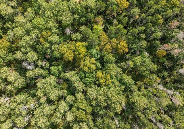 Photo 4 of Land for sale at Parcel F Horseshoe Lake Rd, Merrifield, MN 56465 | MLS# 6799623 | Listing updated on 2026-10-01