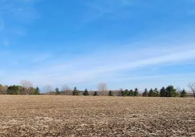 Homes for sale in Lake City, MN | Lot 7 706th St, Lake City, MN 55041 | MLS# 6800376