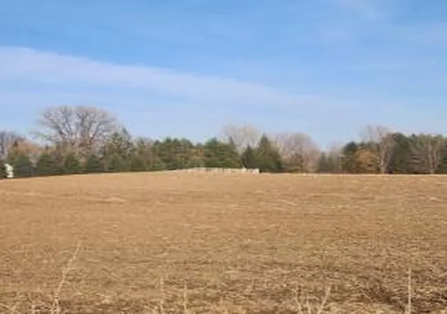 Homes for sale in Lake City, MN | Lot 7 706Th St, Lake City, MN 55041 | MLS# 6800376