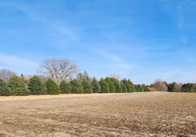 Homes for sale in Lake City, MN | Lot 7 706Th St, Lake City, MN 55041 | MLS# 6800376
