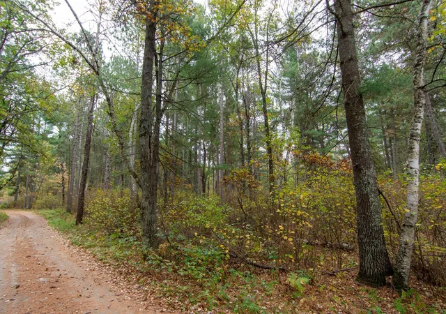 11th image of Tbd Harriet Lake Trail Nw, Backus, MN 56435 | MLS# 6802624