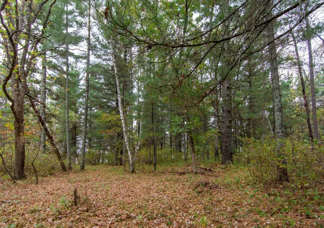 2nd image of Tbd Harriet Lake Trail Nw, Backus, MN 56435 | MLS# 6802624