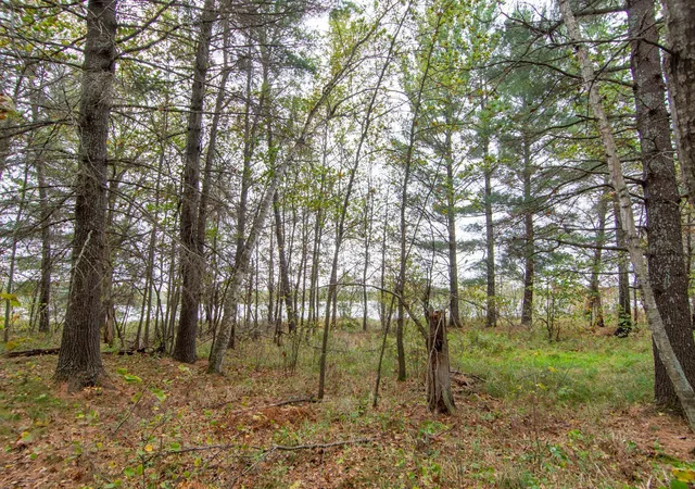 3rd image of Tbd Harriet Lake Trail Nw, Backus, MN 56435 | MLS# 6802624
