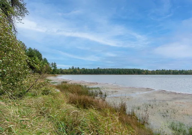 5th image of Tbd Harriet Lake Trail Nw, Backus, MN 56435 | MLS# 6802624