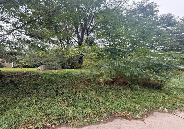 Photo 3 of Land for sale at 1425 Evans Ave, South Saint Paul, MN 55075 | MLS# 6805102 | Listing updated on 2026-06-19