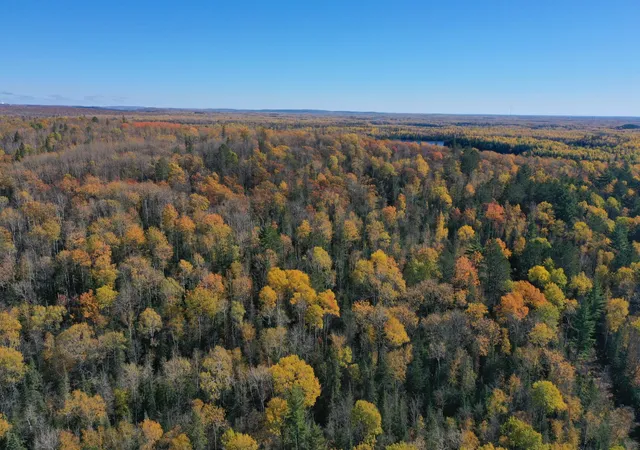 1st image of Tbd French Rd, Chisholm, MN 55719 | MLS# 6805686