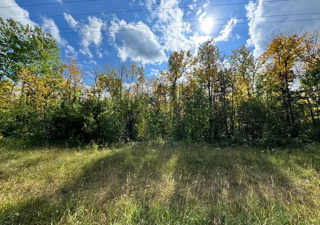 Homes for sale in Williams, MN | Tbd 66th St Nw, Williams, MN 56686 | MLS# 6807015