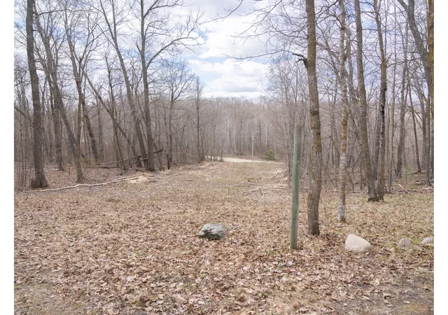 Homes for sale in Naytahwaush, MN | Tbd Tbd, Naytahwaush, MN 56566 | MLS# 6807506