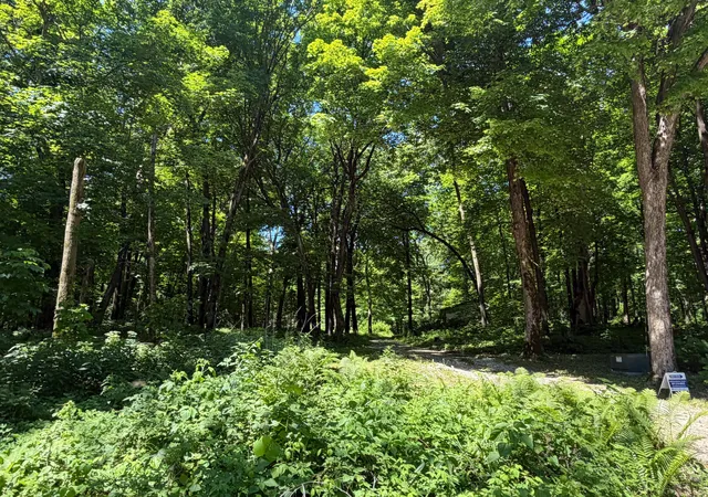 28th image of 8309 County Road 19 Se, Rochester, MN 55904 | MLS# 6808522