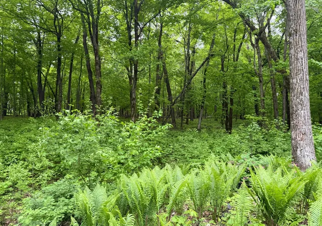 3rd image of 8309 County Road 19 Se, Rochester, MN 55904 | MLS# 6808522