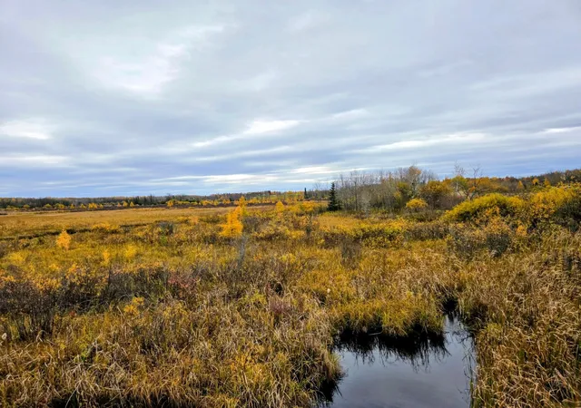 1st image of No Street Number No Street Name, Blackduck, MN 56630 | MLS# 6808699