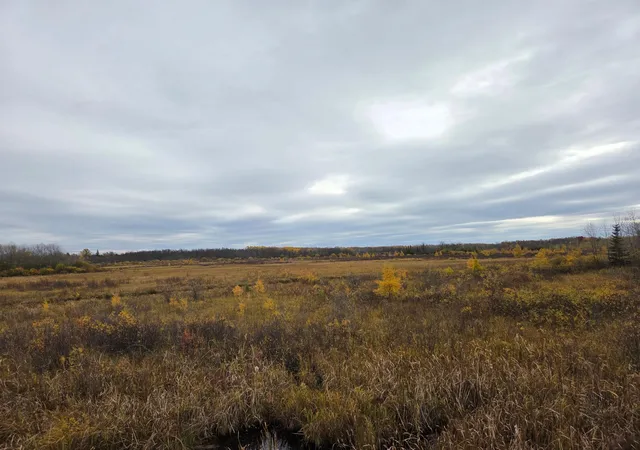 2nd image of No Street Number No Street Name, Blackduck, MN 56630 | MLS# 6808699
