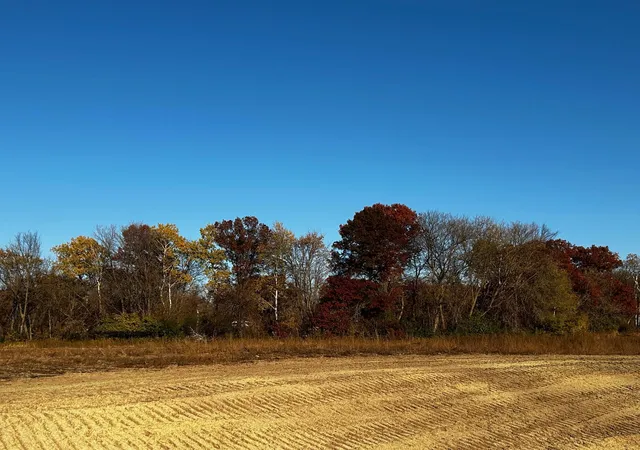 Photo 3 of Land for sale at Lot 6 151st Avenue Se, Becker, MN 55308 | MLS# 6809422 | Listing updated on 2026-06-19