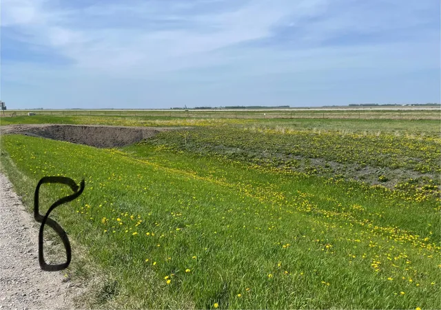 Photo 1 of Land for sale at Lot 8 County Line Addition, Grandin, ND 58038 | MLS# 6810091 | Listing updated on 2026-08-25