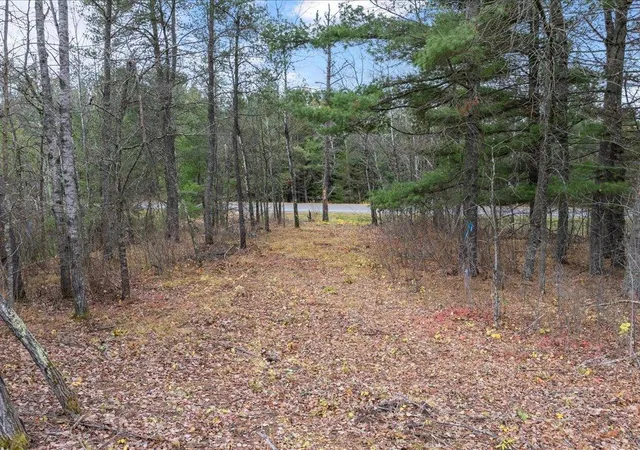 3rd image of L1 B1 County Road 1, Pine River, MN 56474 | MLS# 6810386