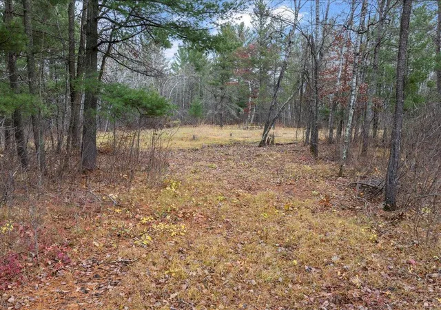 4th image of L1 B1 County Road 1, Pine River, MN 56474 | MLS# 6810386