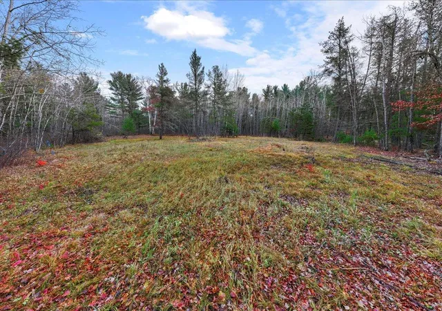 5th image of L1 B1 County Road 1, Pine River, MN 56474 | MLS# 6810386