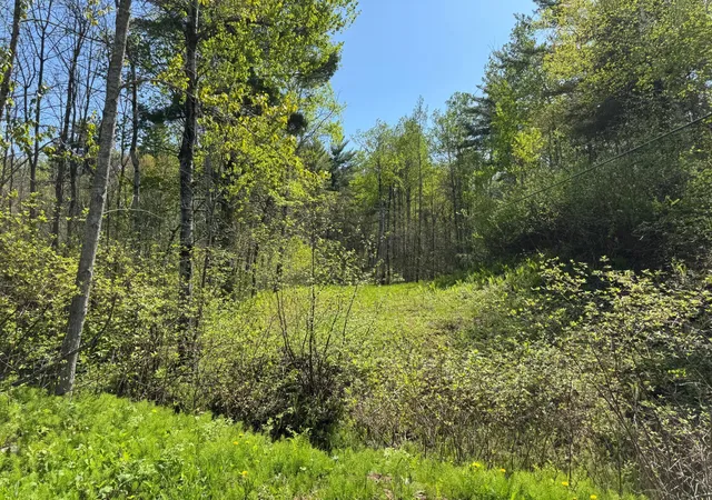 4th image of Tbd Arbor St, Duluth, MN 55808 | MLS# 6811048