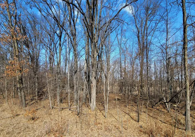 1st image of 315xx Leaf River Road Lot E, Ottertail, MN 56571 | MLS# 6811279