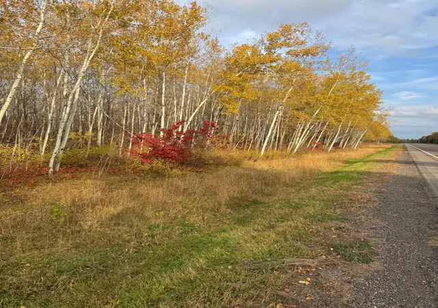 3rd image of 18686 State Hwy 200, Jacobson, MN 55752 | MLS# 6811708