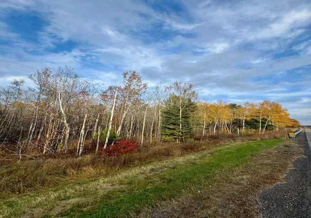 4th image of 18686 State Hwy 200, Jacobson, MN 55752 | MLS# 6811708